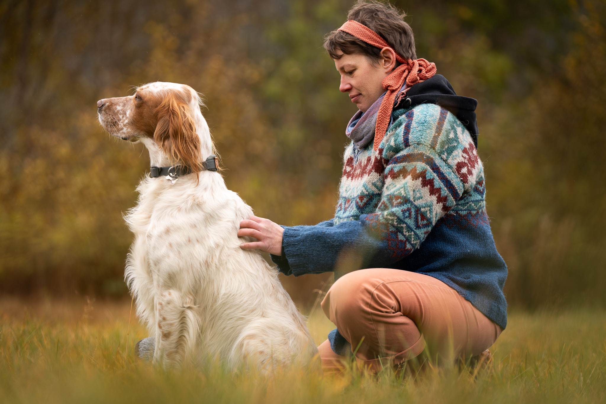 Behandling av engelsk setter