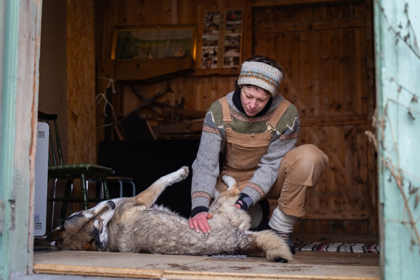 Annelin Brill behandler bakbeinet til en hund som ligger på gulvet