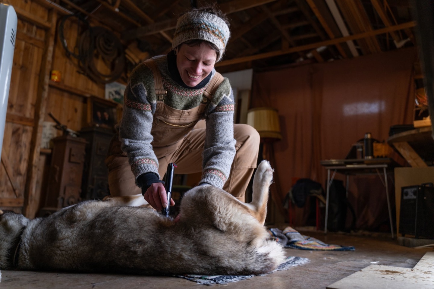 Annelin Brill gir laserbehandling til en hund som ligger på gulvet